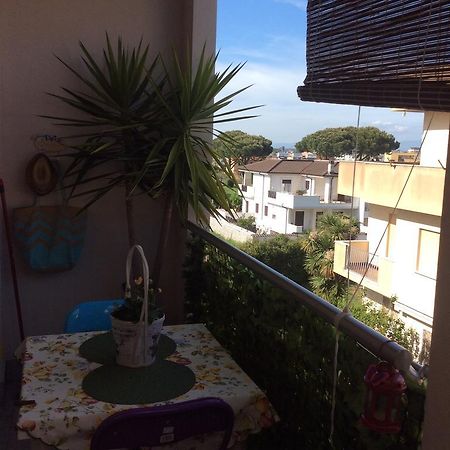 Apartmán Dolce Casa Di Elena Nettuno Pokoj fotografie